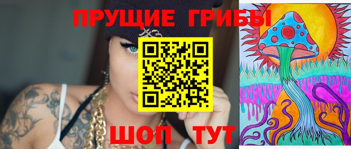 Галлюциногенные грибы Psilocybine cubensis  Псилоцибиновые грибы GOLDEN TEACHER  Моздок  Вход с VPN 