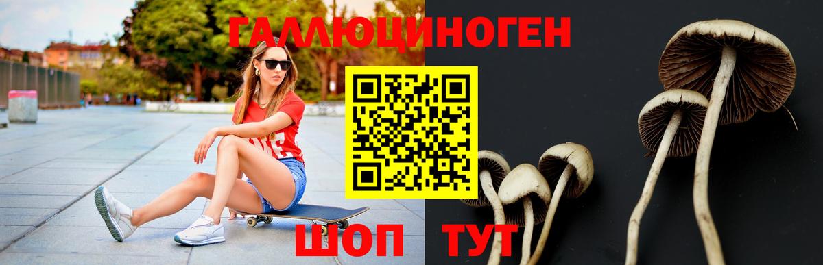 Псилоцибиновые грибы прущие грибы Моздок